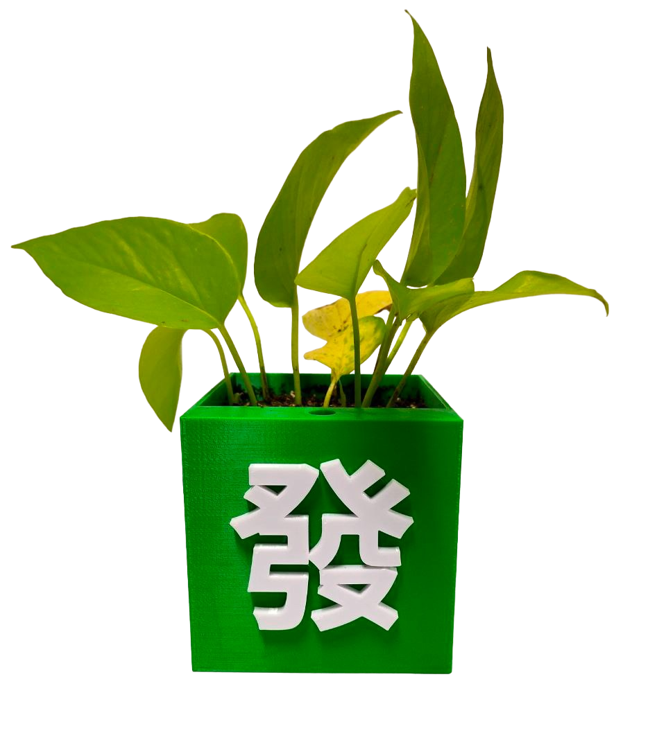 Customised Chinese New Year (CNY) BIG Self-watering Flower Pot